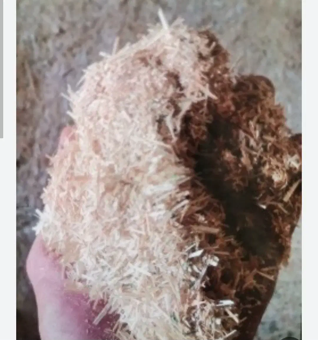 کاه لوبیا چیتی ۱۵۰۰ من هر من ۱۲۰ تومان|عمدهفروشی|شهرکرد, |دیوار