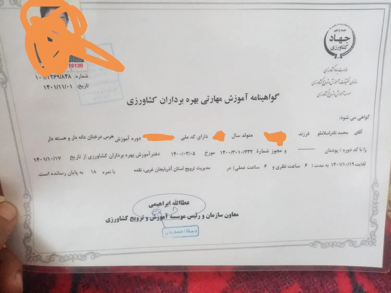 هرس کاری|خدمات باغبانی و درختکاری|مهاباد (آذربایجان غربی), |دیوار