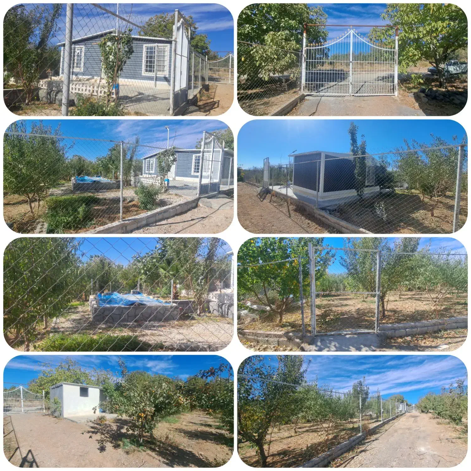 چند قطعه باغ با اتاق و فنس پل زمانخان|فروش دفتر صنعتی، کشاورزی، تجاری|سامان, |دیوار