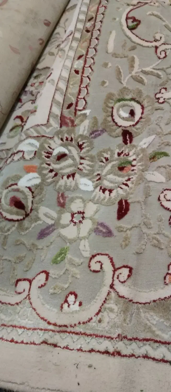 فرش 12 متری|فرش|رامسر, |دیوار