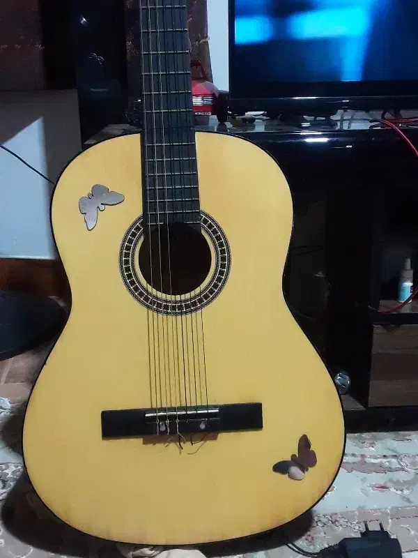 گیتار|گیتار، بیس، امپلیفایر|رشت, پاره بیجار|دیوار