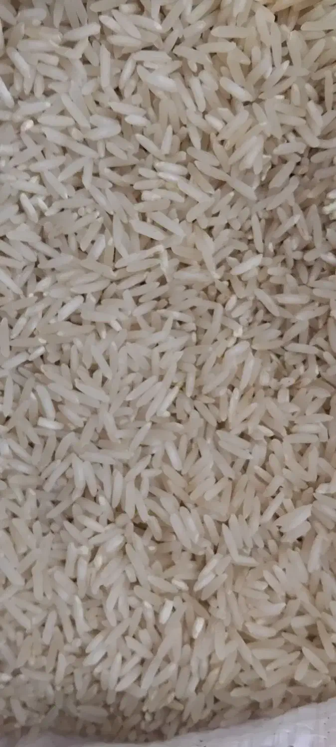 برنج طارم عطری|خوردنی و آشامیدنی|سیروان, |دیوار