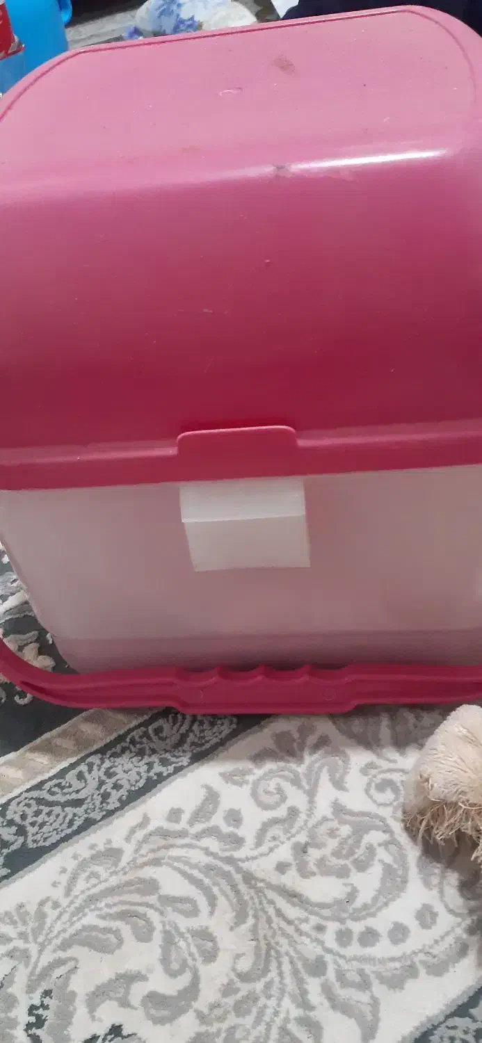 ظرف پیکنیکی|ظروف نگهدارنده، پلاستیکی، یک‌بارمصرف|سنندج, |دیوار