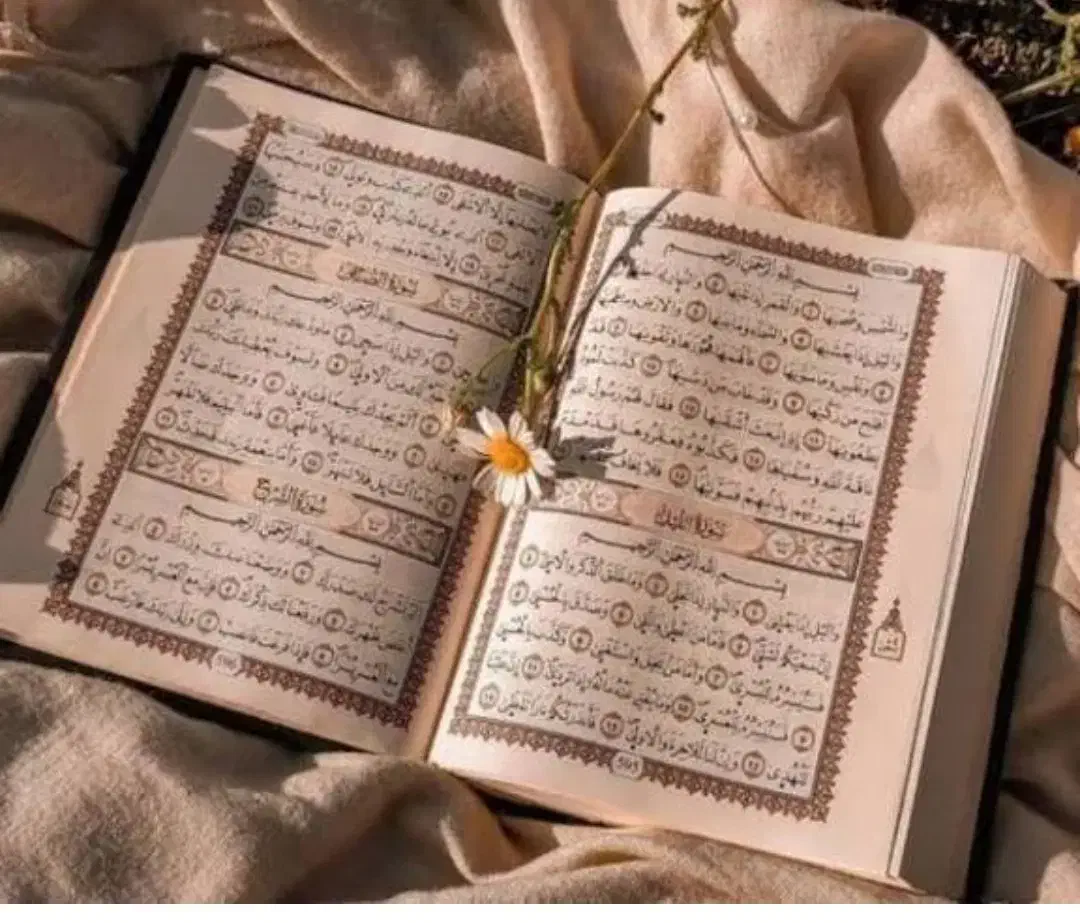 مجله|کتاب و مجله مذهبی|کاشان, باغ فین|دیوار