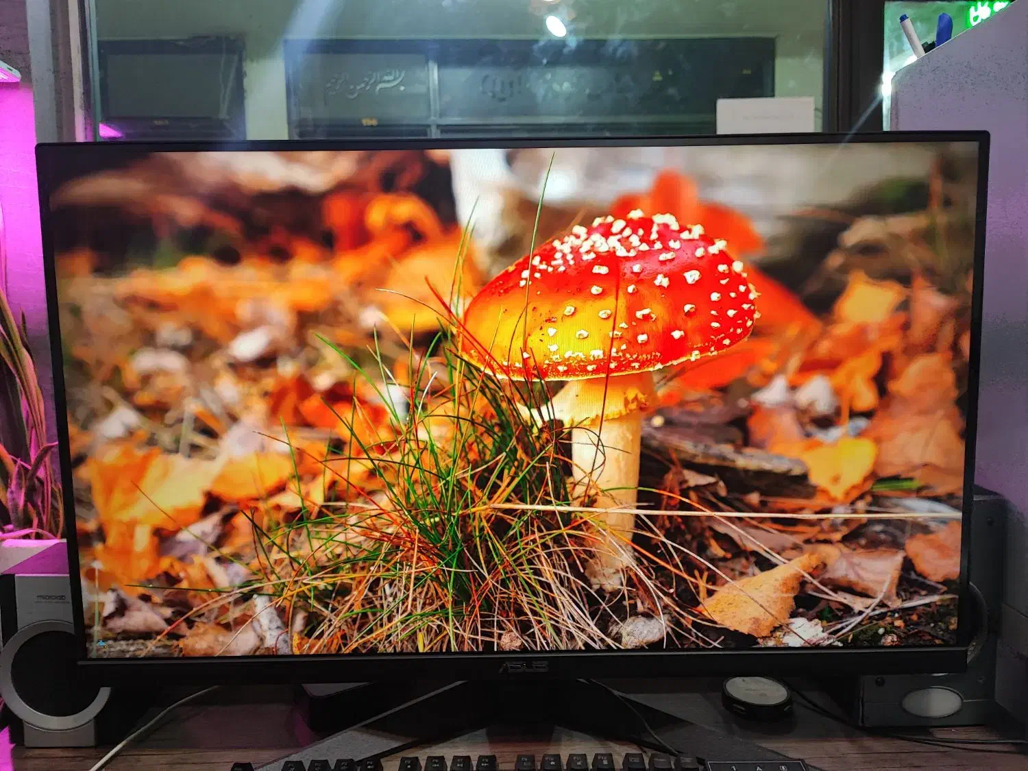 مانیتور گیمینگ ASUS|قطعات و لوازم جانبی رایانه|اندیشه, اندیشه فاز ۳|دیوار