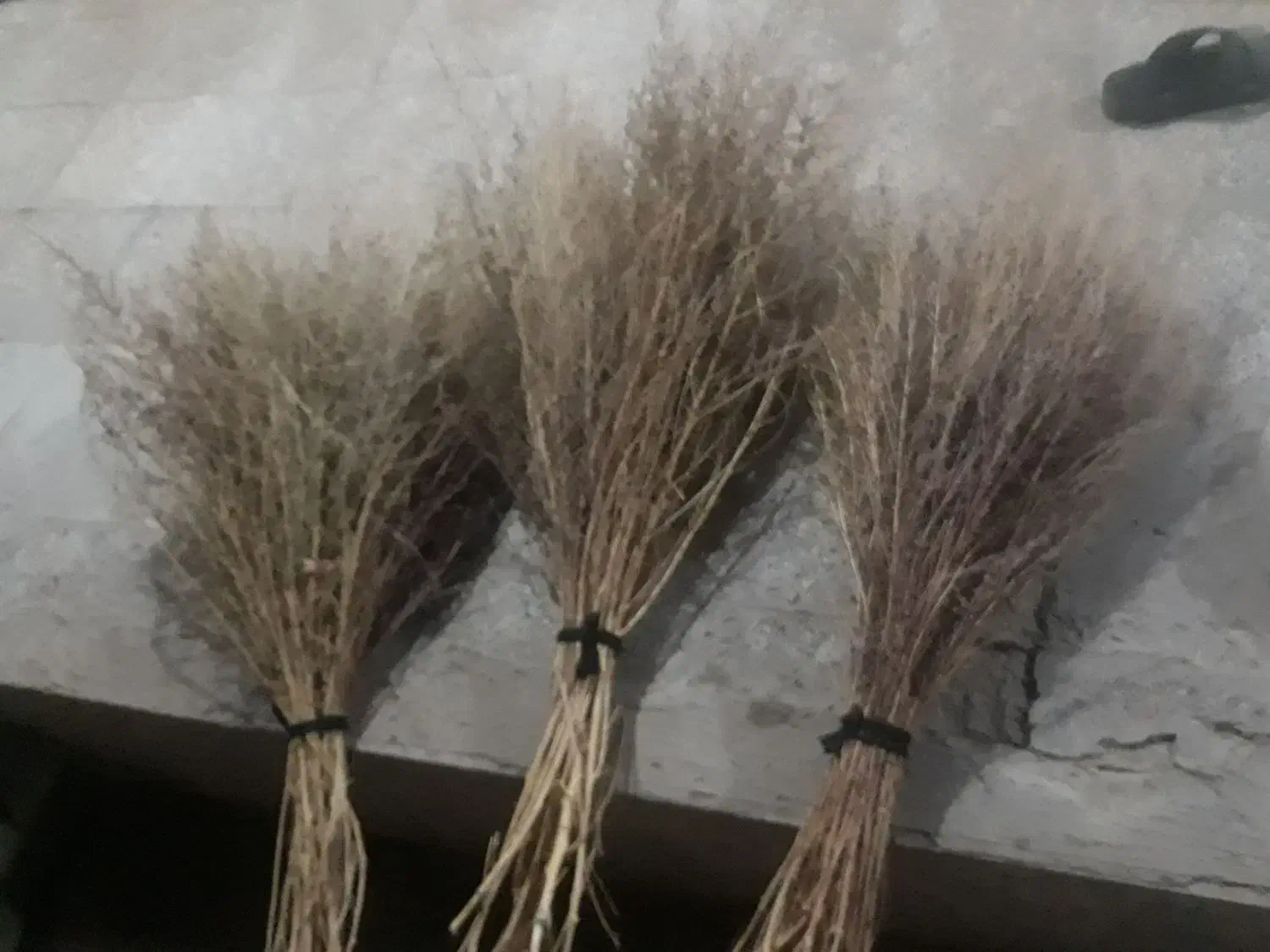 جارو رسیده وخشک|لوازم نظافت|نورآباد, |دیوار