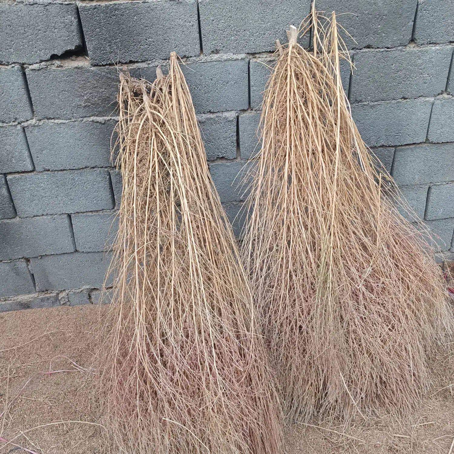 جارو سیخی شهرداری|لوازم نظافت|مشهد, انقلاب|دیوار