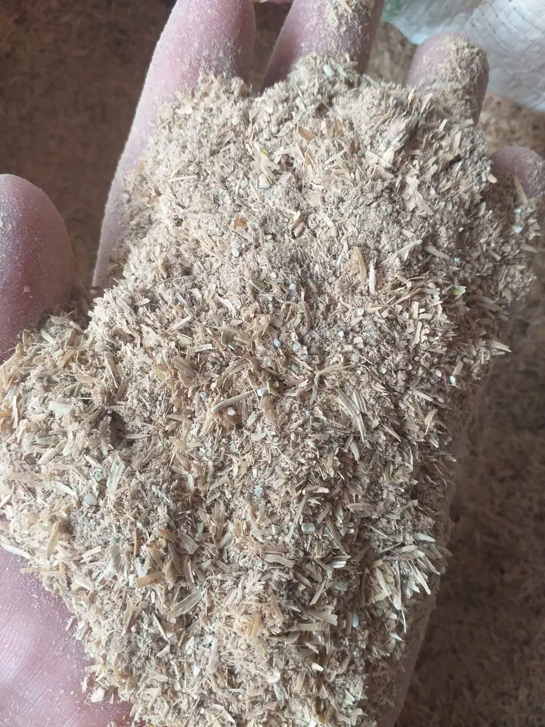 سبوس شالی درجه یک|عمدهفروشی|گنبد کاووس, |دیوار