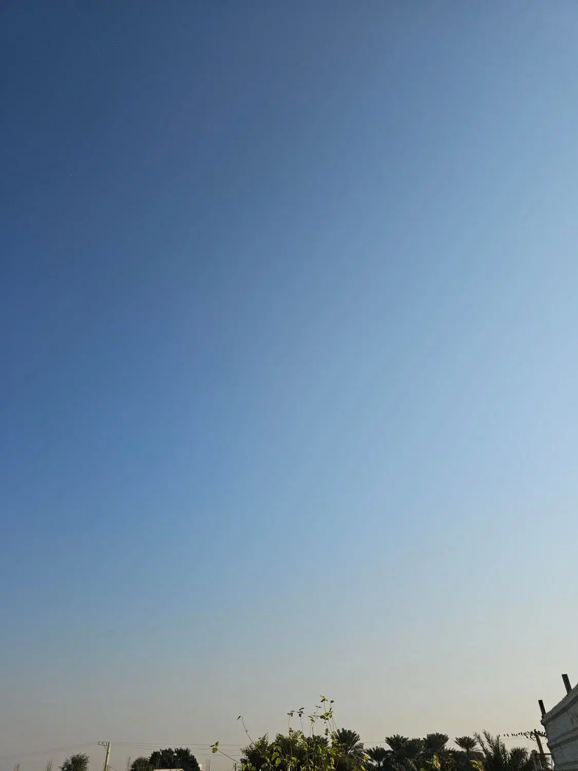 راننده پایه دو جهت کار با نیسان|استخدام حمل و نقل|بندرعباس, |دیوار