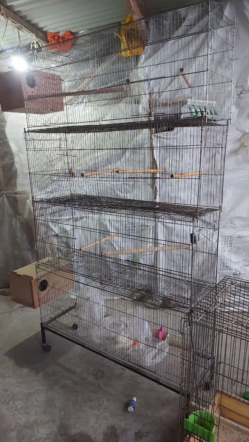فروش قفس پرون|لوازم جانبی حیوانات|آمل, |دیوار