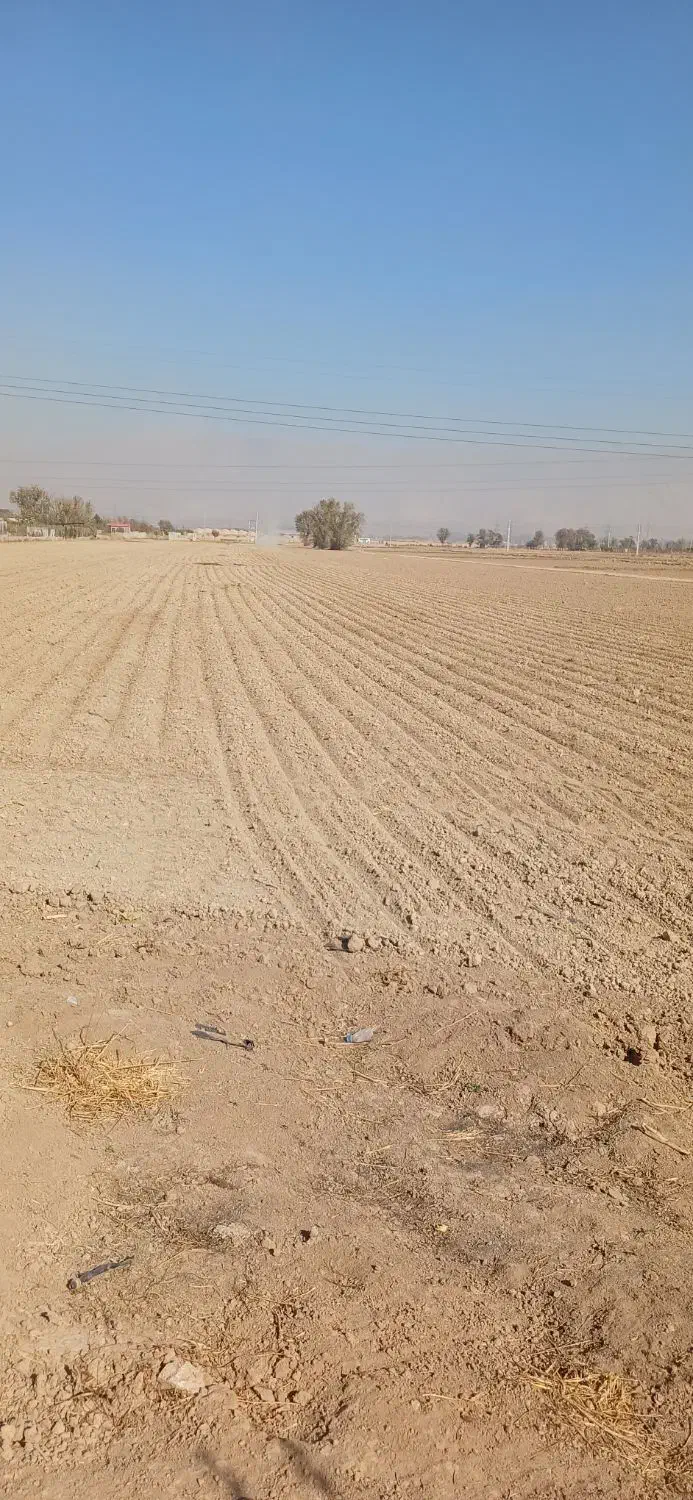 ورق ژئوممبران|عمده‌فروشی|آبیک, |دیوار