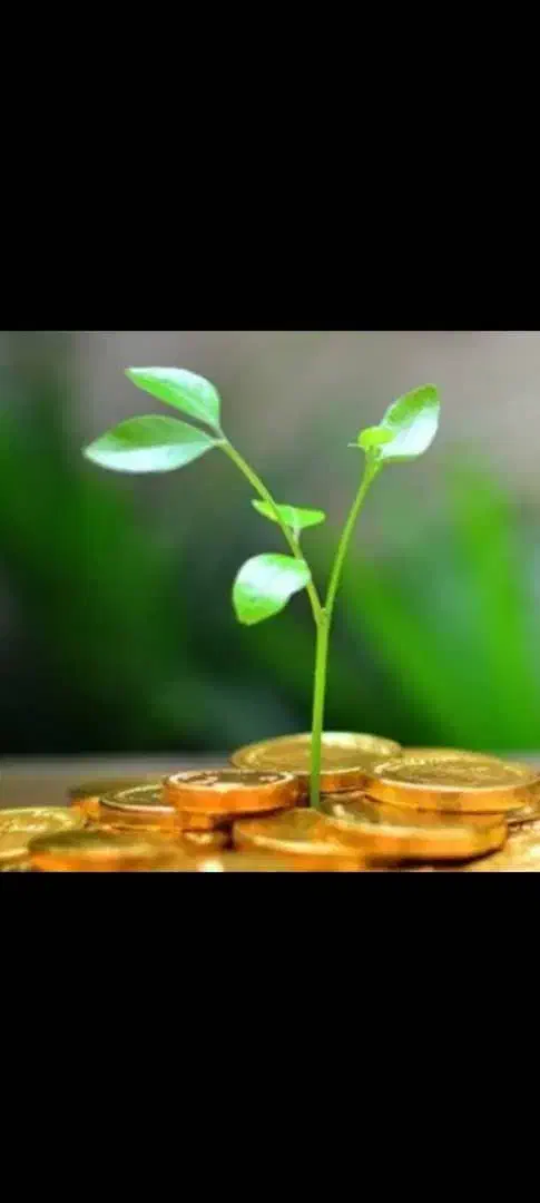 مشاوره سرمایه گذاری باسود خوب،خانم یا اقا|فعالیت داوطلبانه|رشت, بلوار گیلان|دیوار