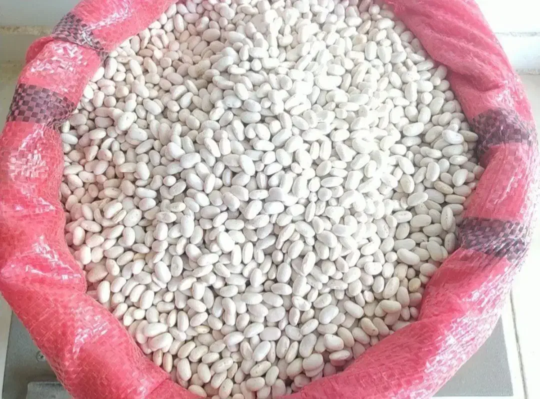 فروش حبوبات|خوردنی و آشامیدنی|رشت, پیرسرا|دیوار