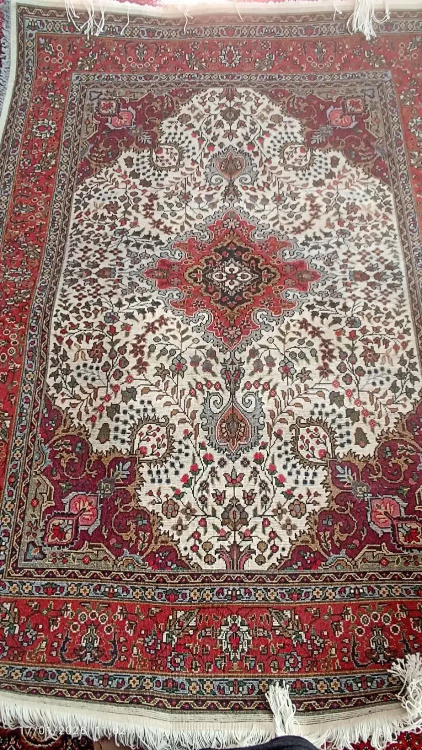 فرش قالیچه کرمان|فرش|بناب, |دیوار