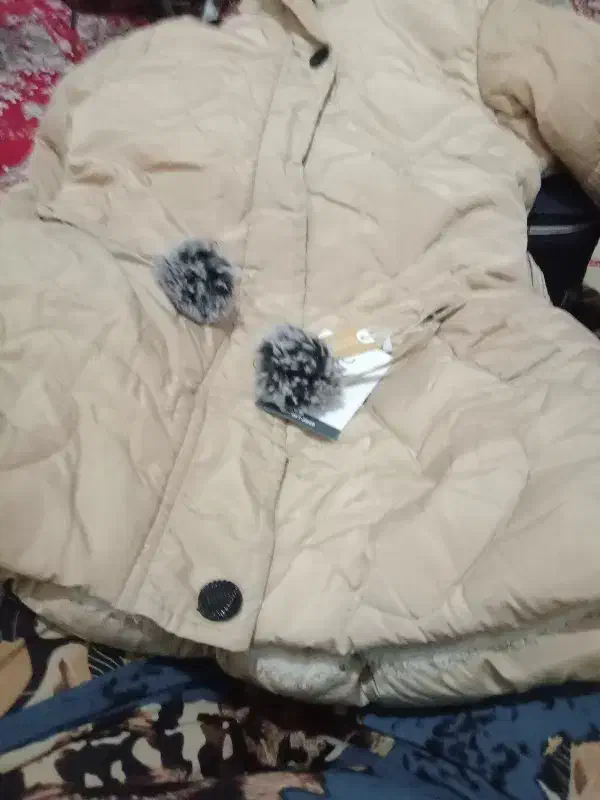 کاپشن حمیدیه|لباس|حمیدیه, |دیوار