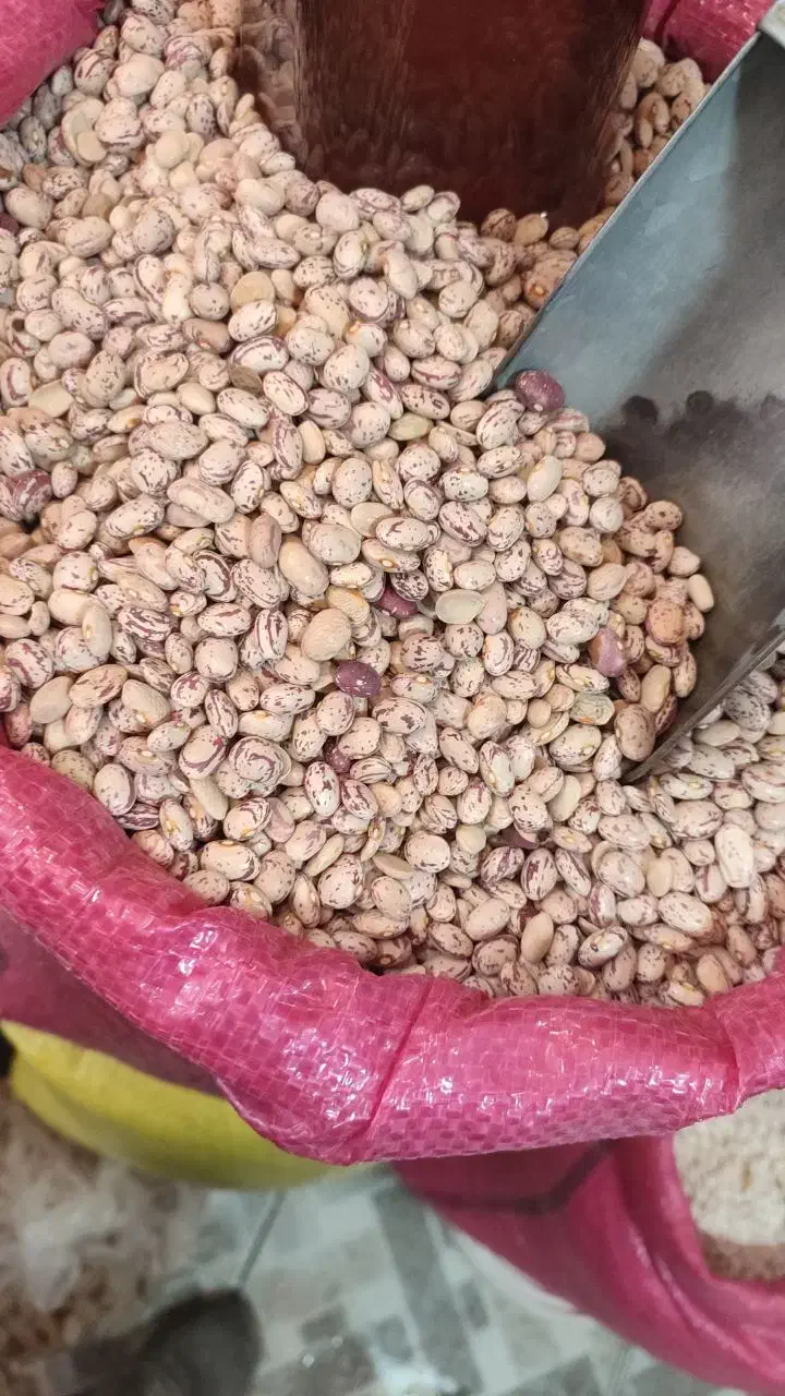 لوبیا چیتی دوبار بوجاری شده|خوردنی و آشامیدنی|داران, |دیوار