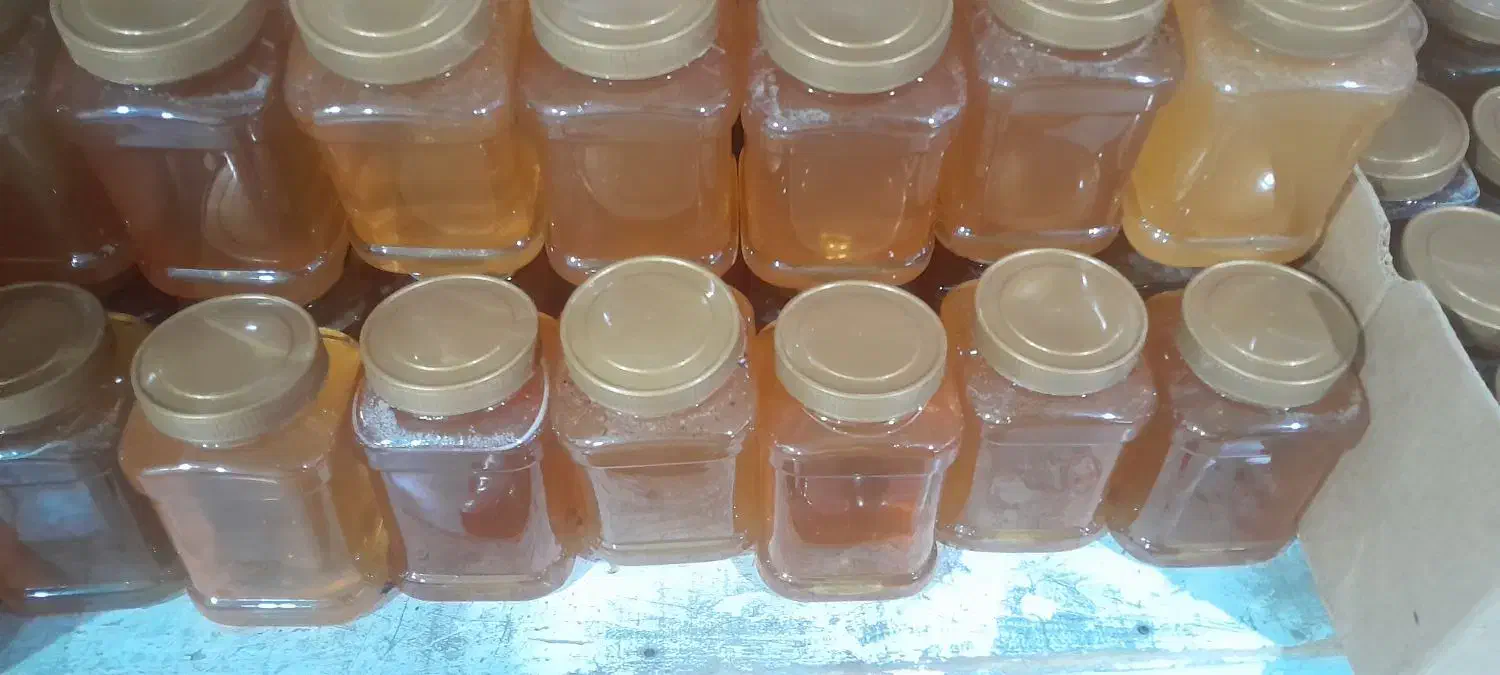 عسل صد درصد طبیعی|عمدهفروشی|ارومیه, |دیوار