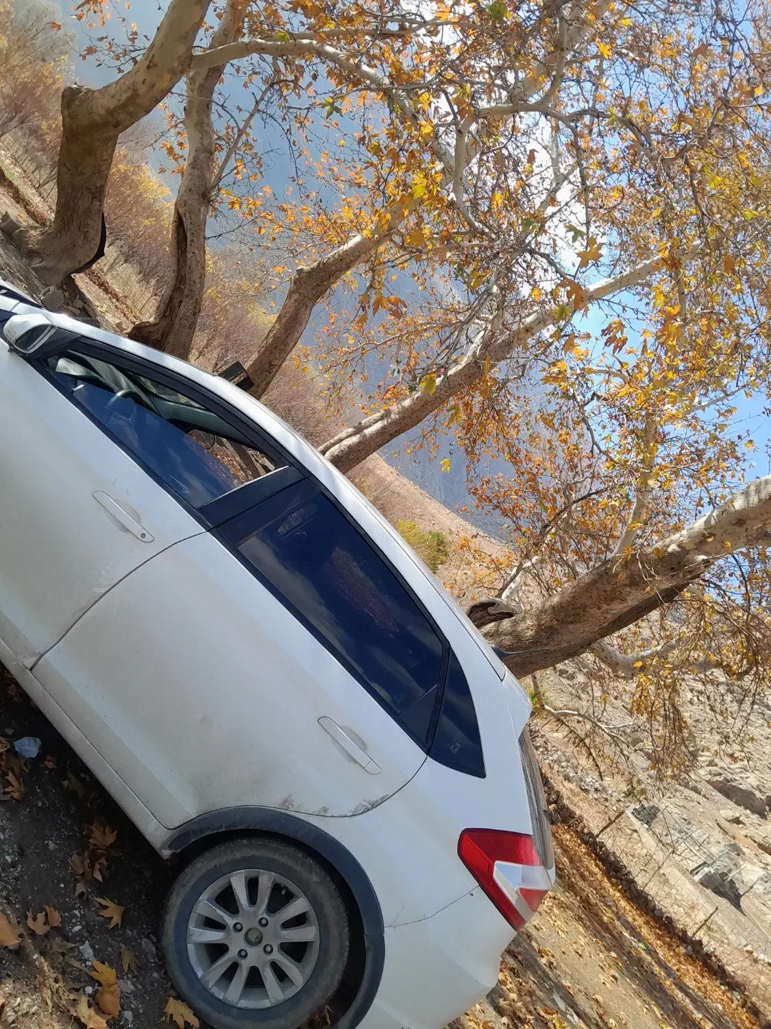 ام وی ام ۳۱۵ نیو|خودرو سواری و وانت|کرمانشاه, |دیوار