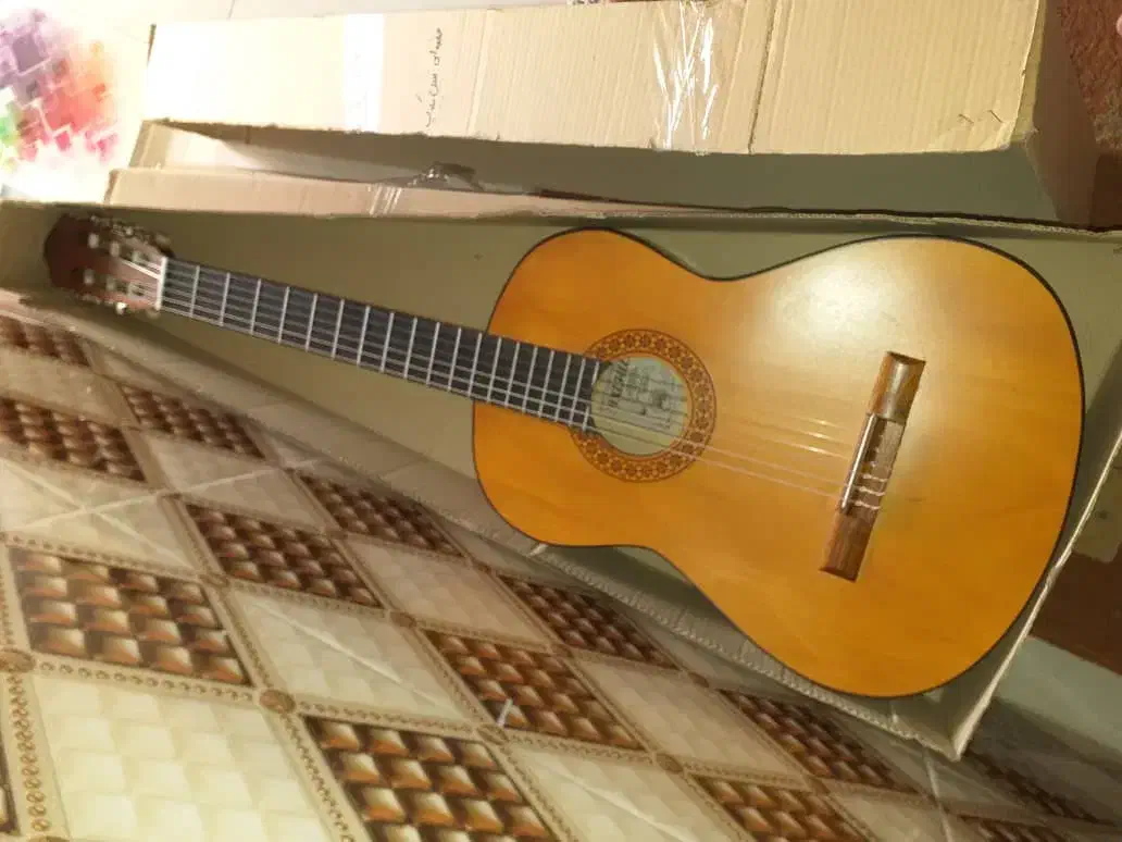 گیتار کلاسیک معاوضه با طوطی سان یا لوازم خانگی نو|گیتار، بیس، امپلیفایر|شیراز, لب آب|دیوار
