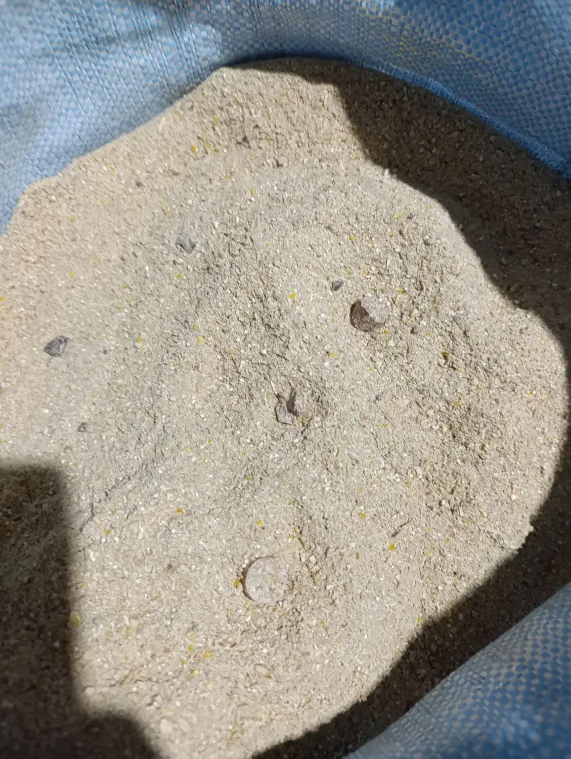 کنسانتره سفارشی|لوازم جانبی حیوانات|آبگرم, |دیوار