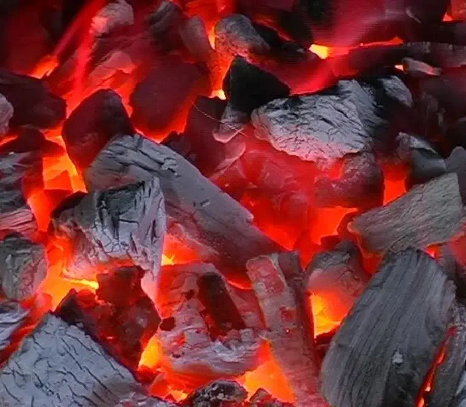 ذغال سیب|عمدهفروشی|مهاباد (آذربایجان غربی), |دیوار