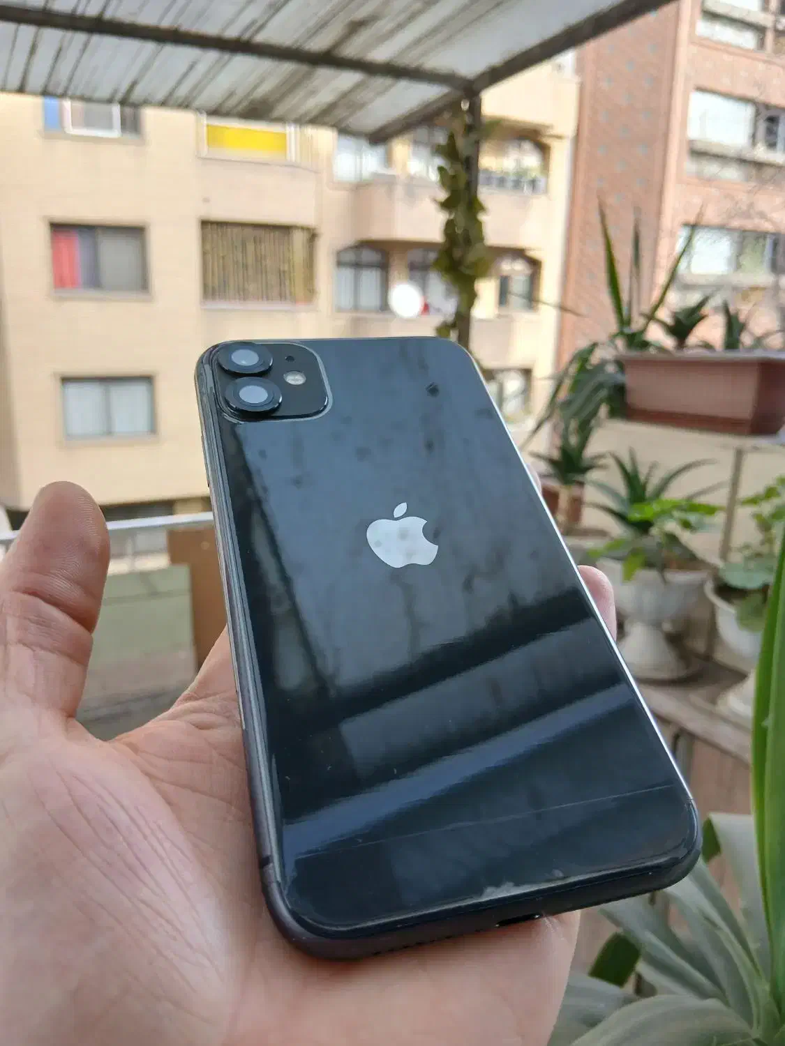 گوشی iphone 11normal|موبایل|تهران, قلهک|دیوار