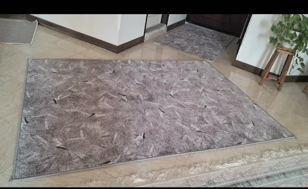 دوتا تکه موکت پالاز خاف دار  استفاده نشده|موکت|مرودشت, دولت آباد|دیوار