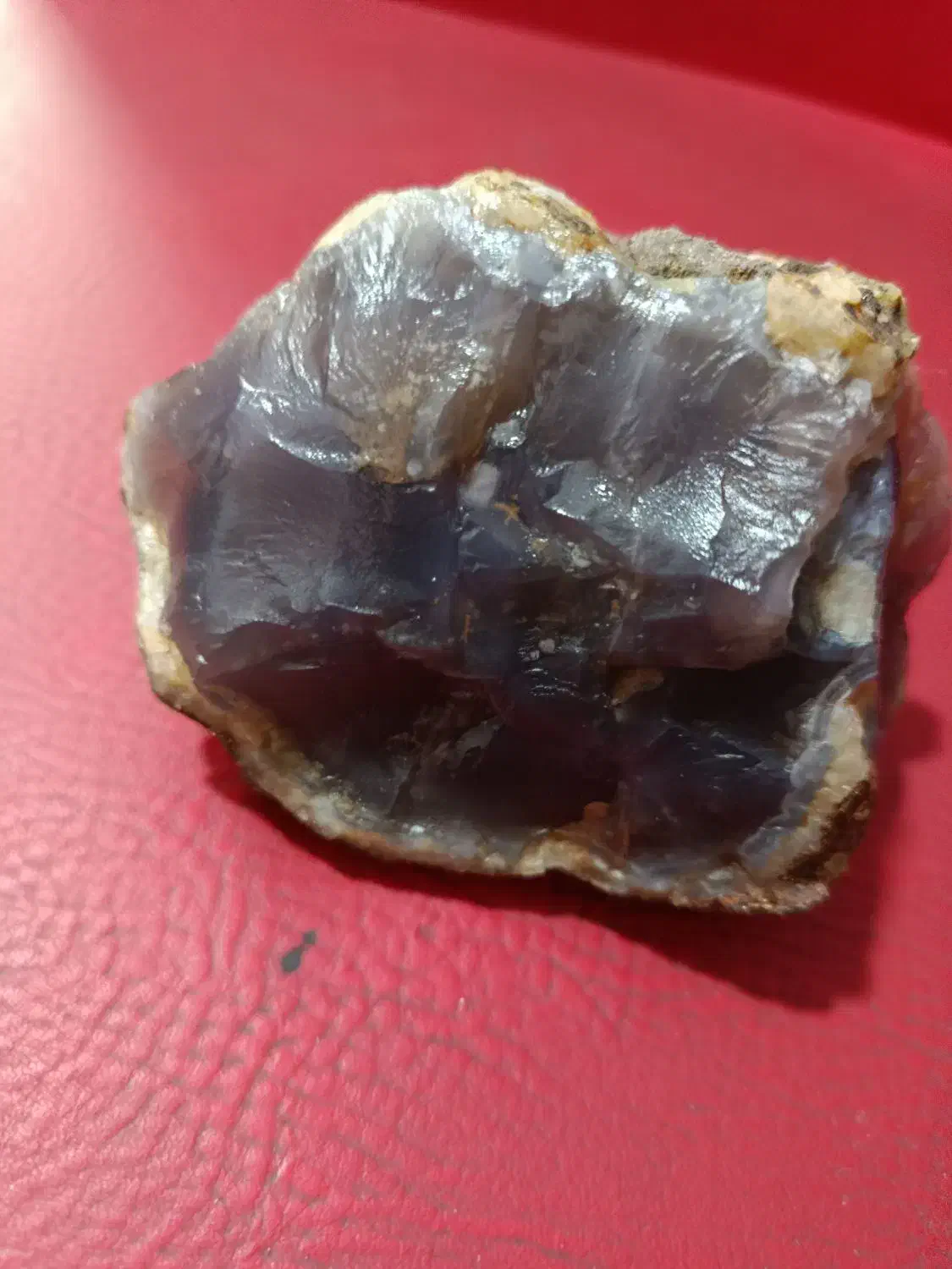 شجر پاییزه|جواهرات|قزوین, |دیوار