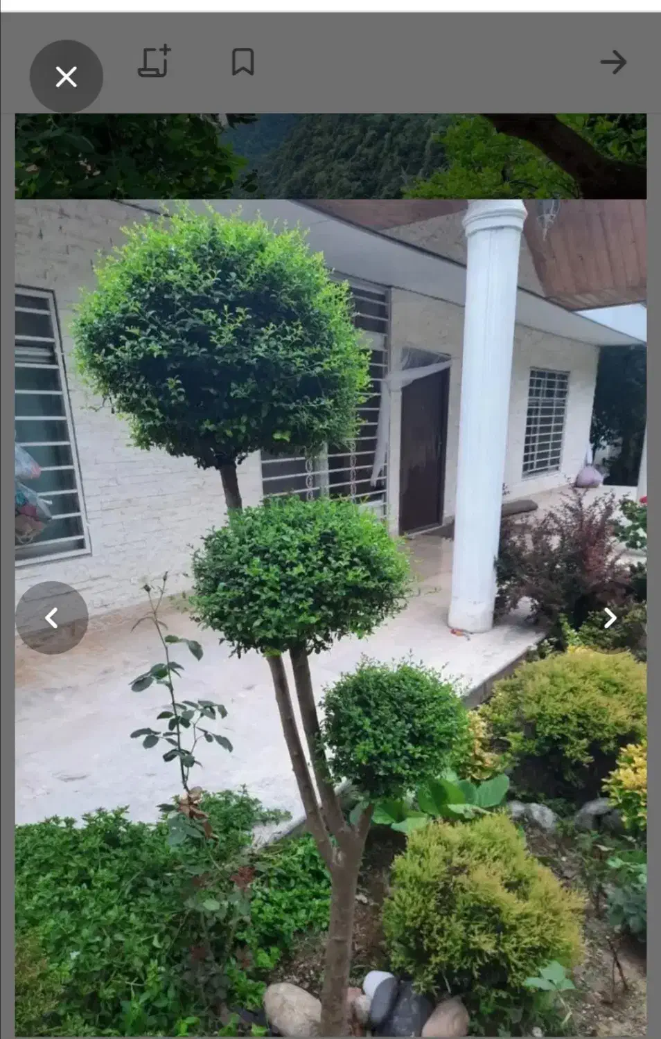 همخونه|اجارهٔ آپارتمان|یزد, |دیوار