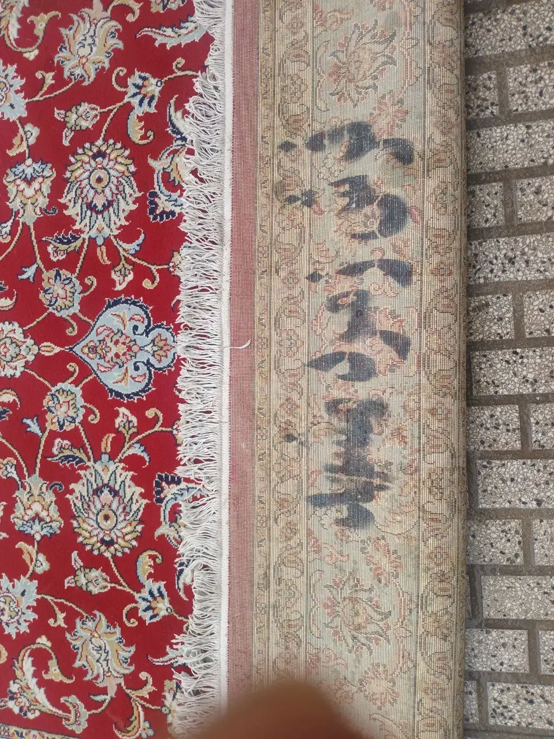 فرش|فرش|تربت‌حیدریه, پائین ولایت|دیوار