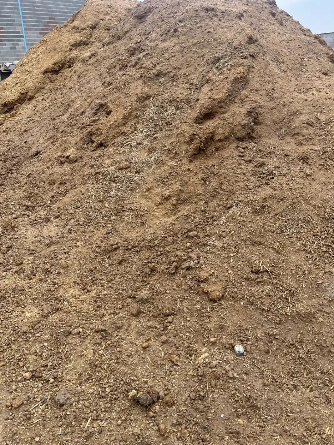 پهن گوسفندی الک شده. ( کود گوسفندی)|خدمات باغبانی و درختکاری|نمین, |دیوار