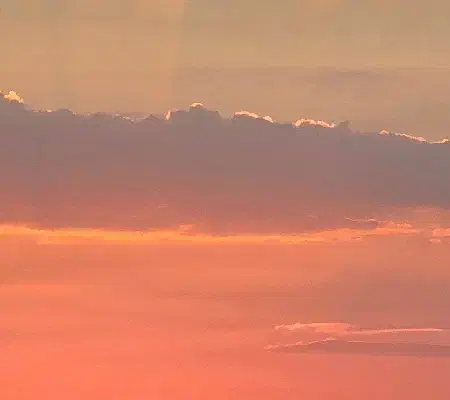 گمشده|اشیا|سبزوار, توحیدشهر|دیوار