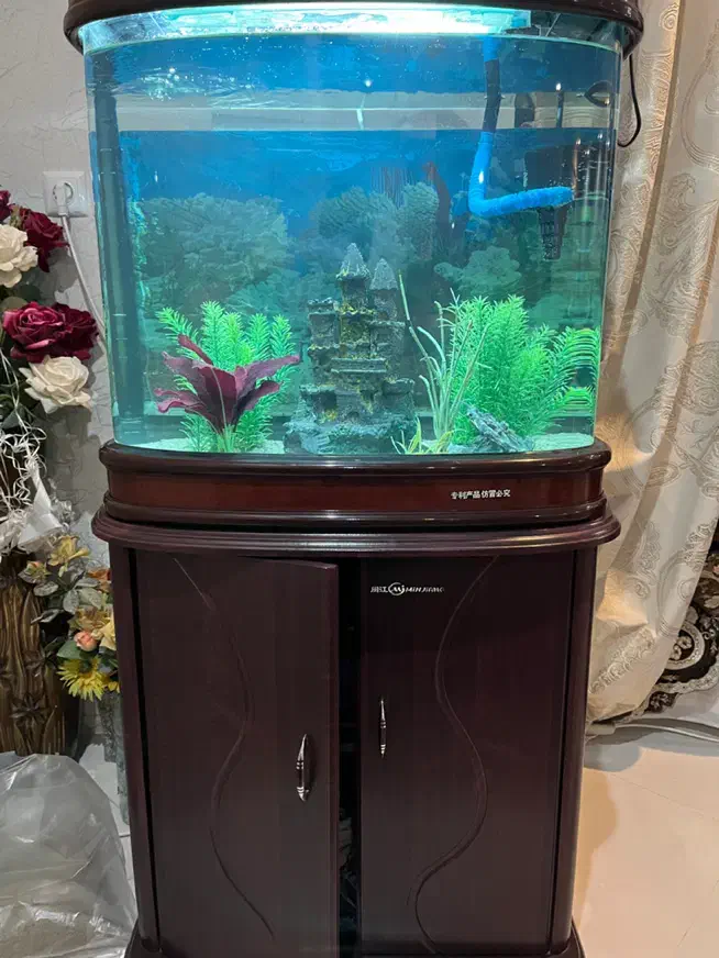 اکواریوم چینی شرکتی بسیارتمیز با تمامی وسایل|ماهی|نیشابور, مسکن مهر نور|دیوار