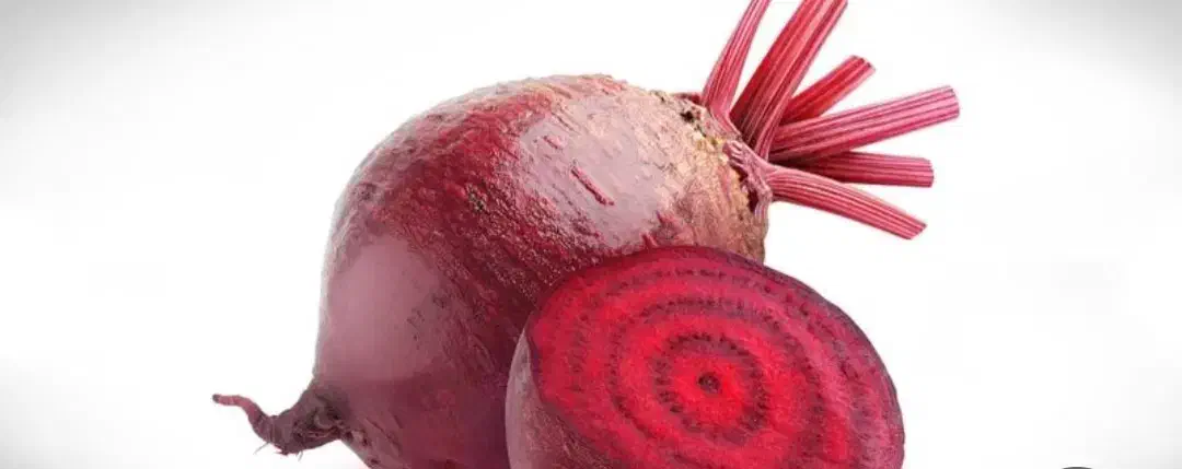 لبو|حراج|فسا, |دیوار