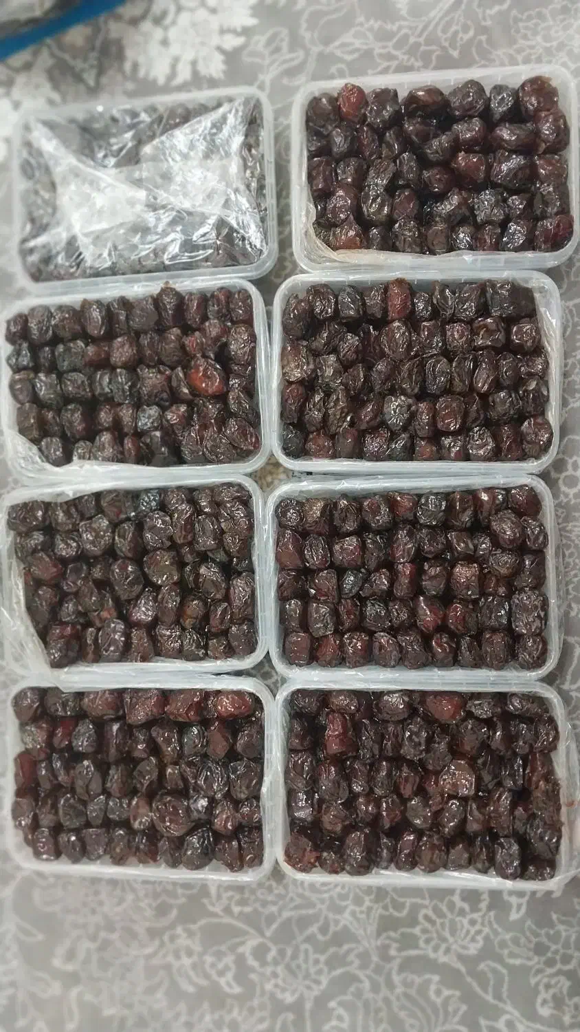 خرما مرداسنگ|خوردنی و آشامیدنی|اسلامشهر, شهرک قائمیه|دیوار