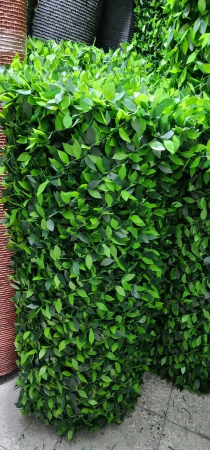 فنس برگی و خز ، پادری اسفنچی|مصالح و تجهیزات ساختمان|یزد, |دیوار