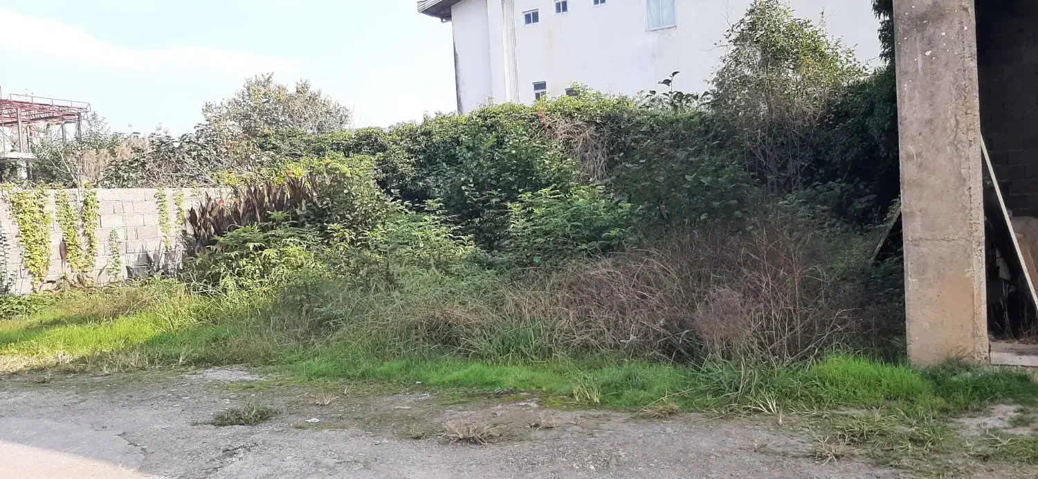 فروش زمین در رشت ، احمدگوراب|فروش زمین و ملک کلنگی|رشت, احمد گوراب|دیوار