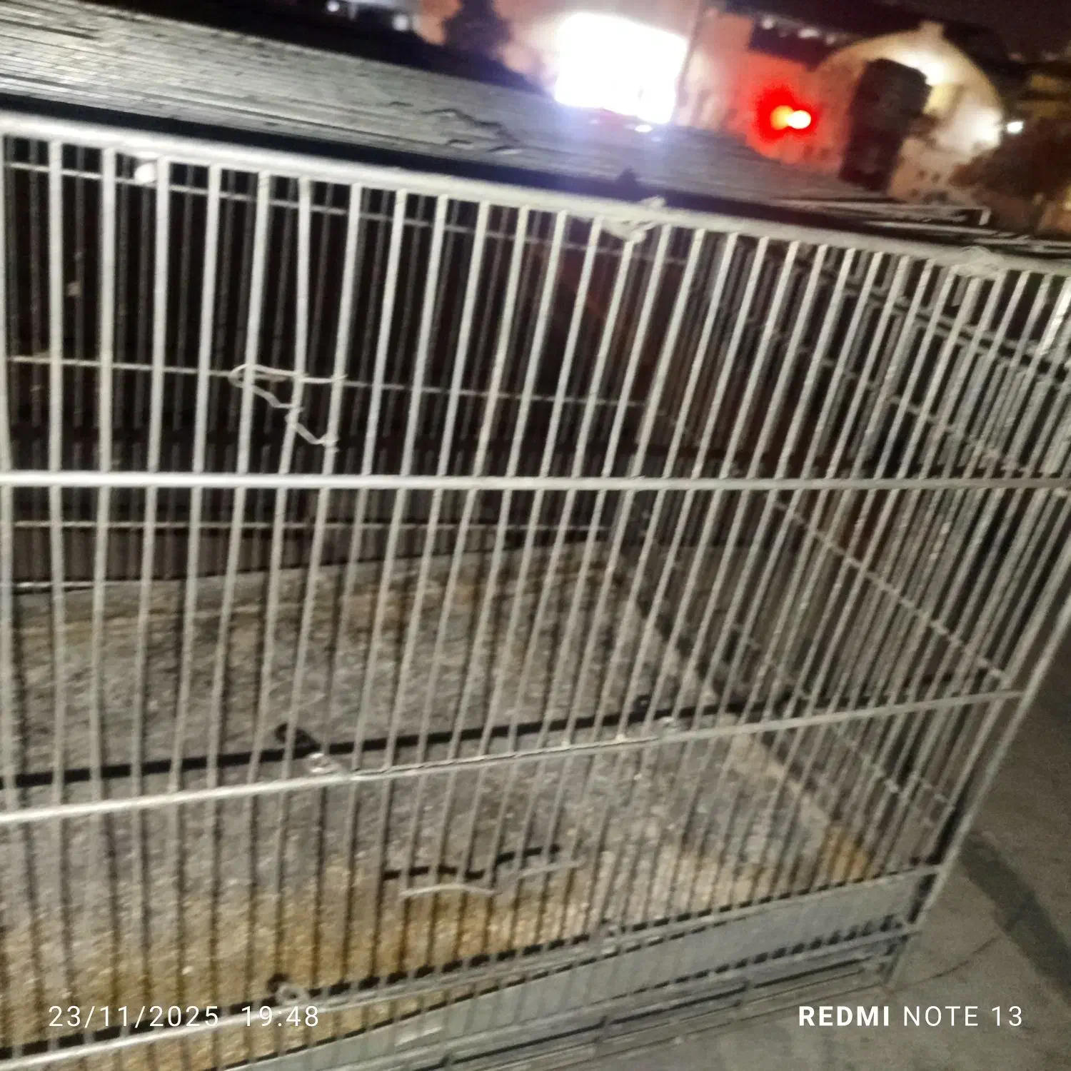 پرون|لوازم جانبی حیوانات|شیراز, سیاه سنگ|دیوار