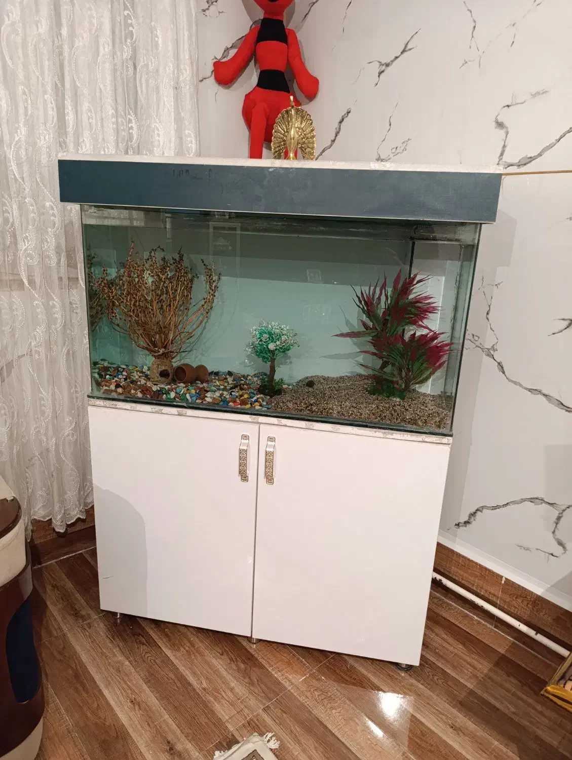 اکواریوم شیشه خم ۱ متری|ماهی|سلماس, |دیوار