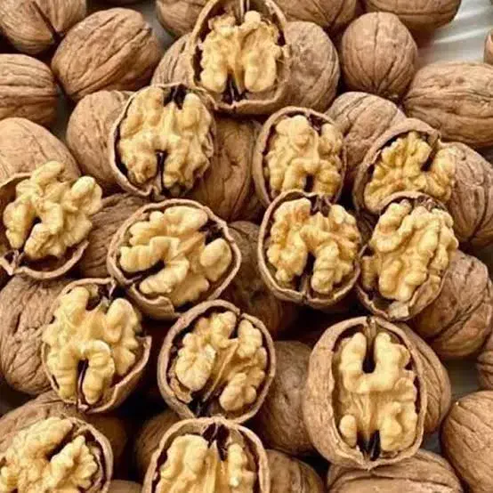 گردو|خوردنی و آشامیدنی|شاهین دژ, |دیوار