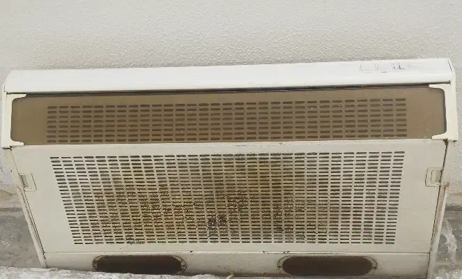 هود|هود|شاهین‌شهر, برخوار غرب|دیوار