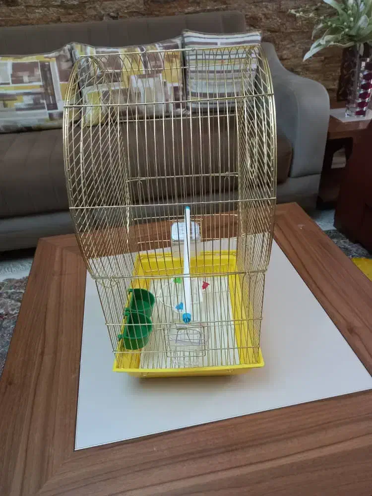 قفس پرنده|لوازم جانبی حیوانات|اهواز, کیانپارس |دیوار