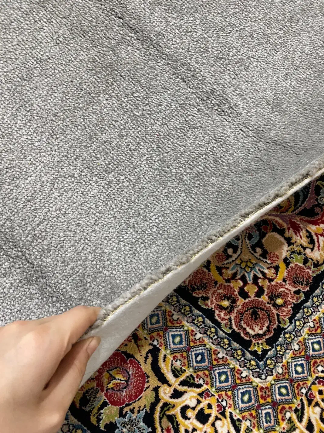 پالاز موکت نو|موکت|قم, کیوانفر|دیوار