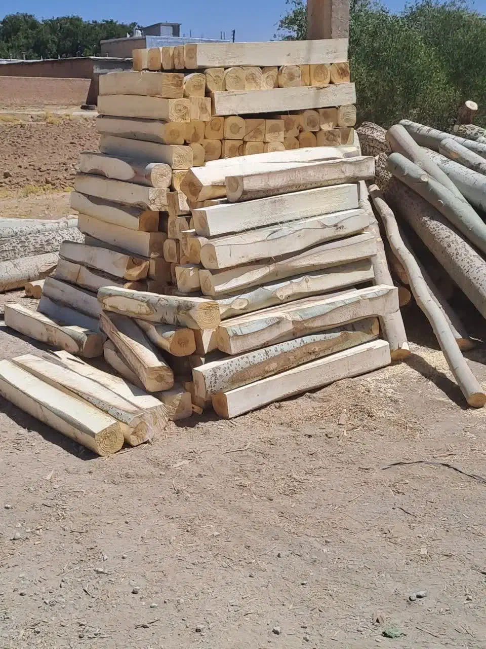 خرید وفروش چوب فروش انواع تخته ایرانی.تخته بنایی|خدمات باغبانی و درختکاری|شهرکرد, |دیوار
