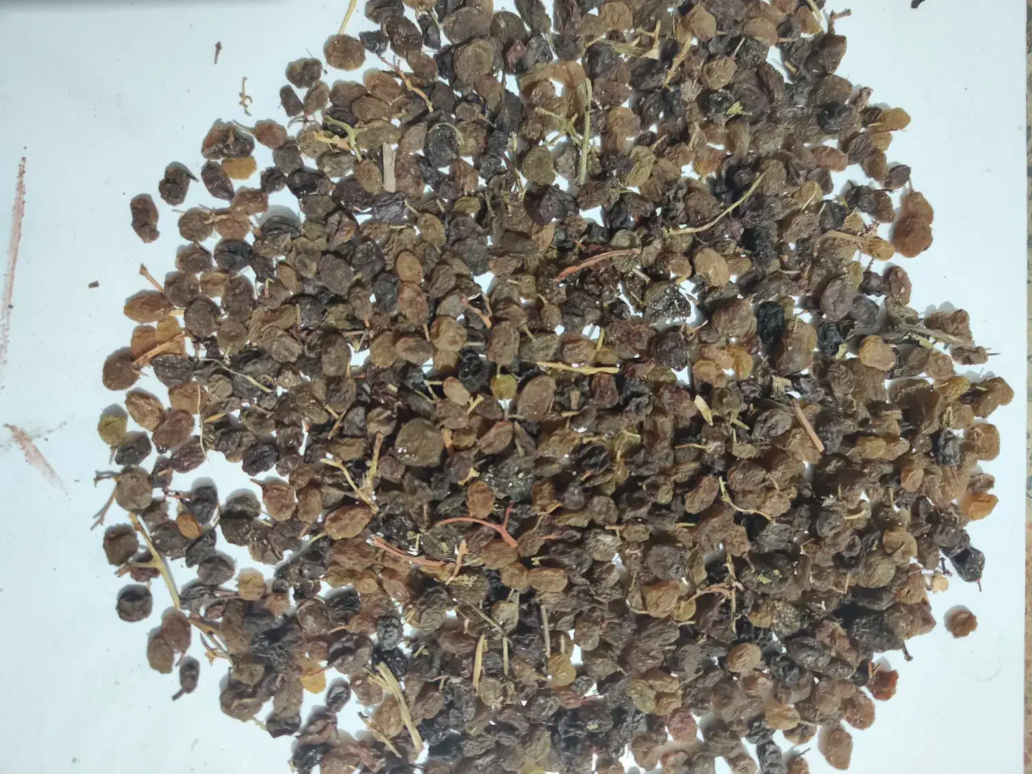 کشمش تیزابی|خوردنی و آشامیدنی|تاکستان, |دیوار