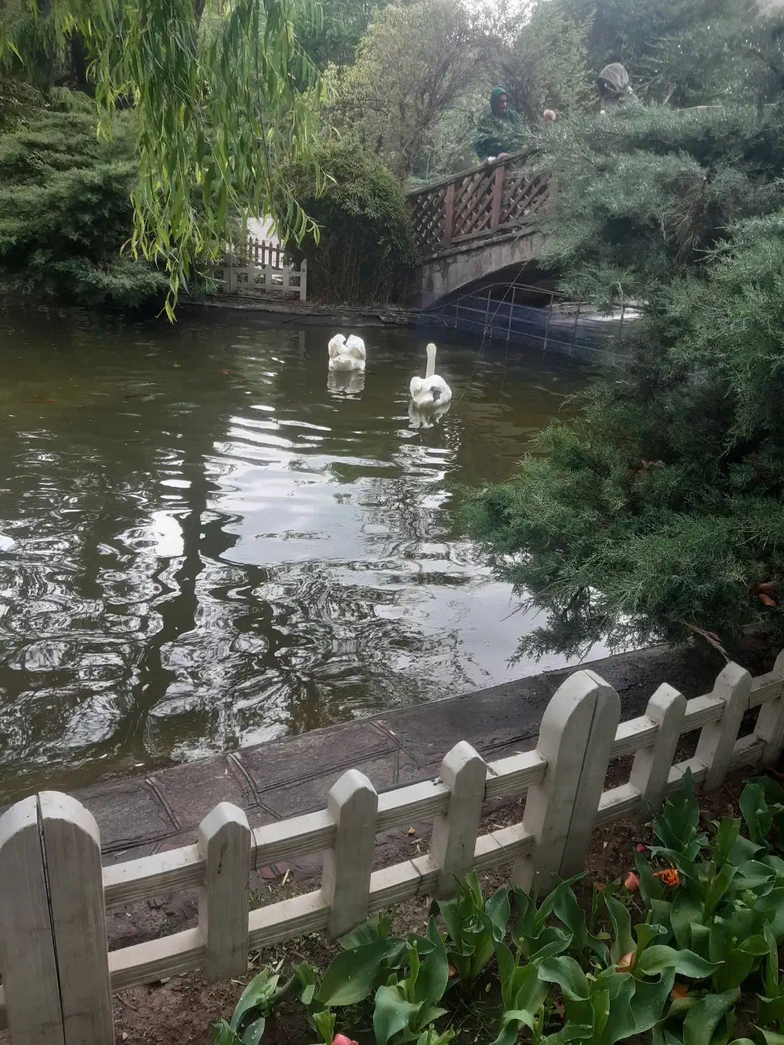 مغازه رهن کامل یا فروش|اجارهٔ مغازه و غرفه|محمدیه-قزوین, |دیوار