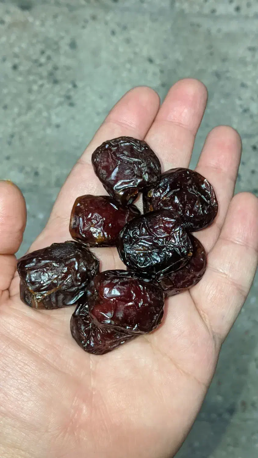 محصولات جنوب|خوردنی و آشامیدنی|محمدشهر, شهرک چمران|دیوار