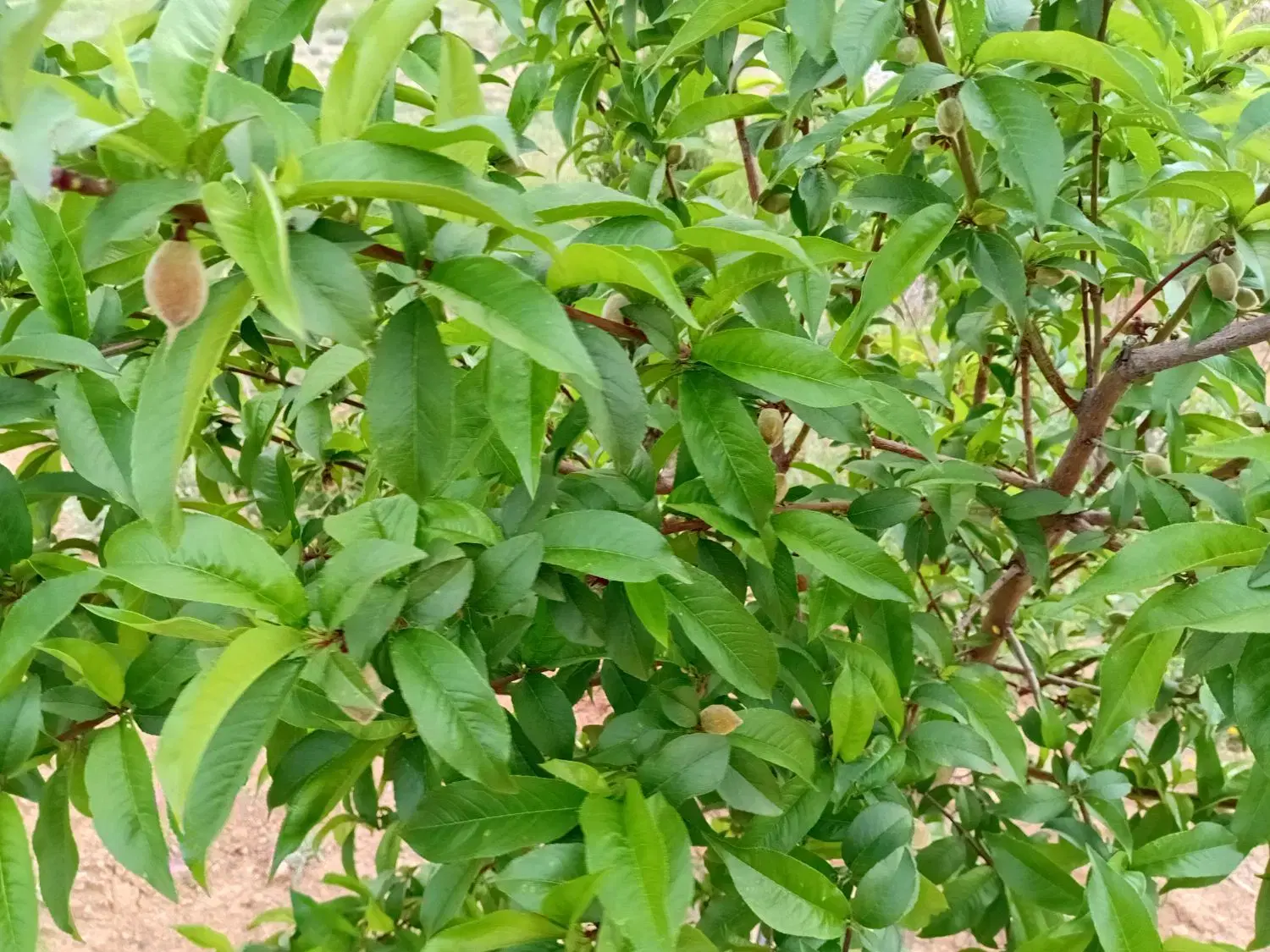 تصویر 17