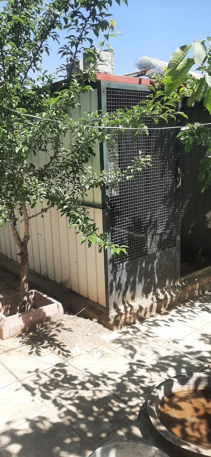 کانکس برای نگهداری مرغ و خروس و سگ|لوازم جانبی حیوانات|نوشین شهر, |دیوار