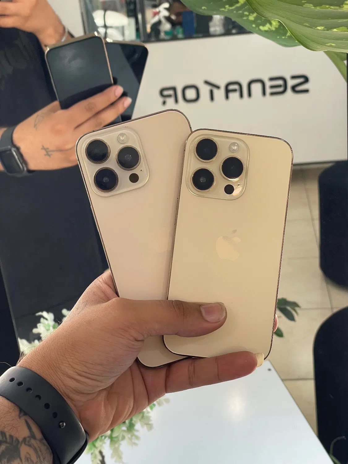 iPhone 14 Pro & 14 Pro Max|موبایل|سمنان, |دیوار